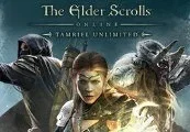 The Elder Scrolls Online: Tamriel Unlimited gallery image 1