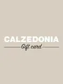 Calzedonia 70 EUR Gift Card (Italy) thumb 2