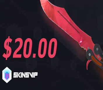SkinsVIP 20 USD Gift Card (Global)