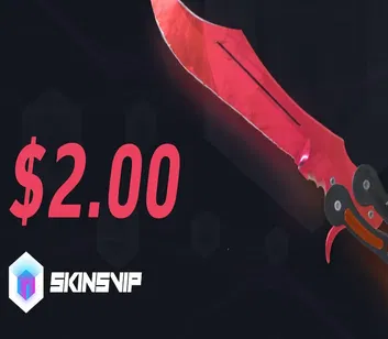 SkinsVIP 2 USD Gift Card (Global)