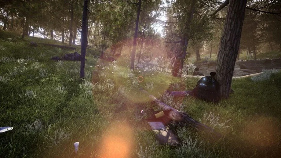 Forest Ranger Simulator (PC) gallery image 8