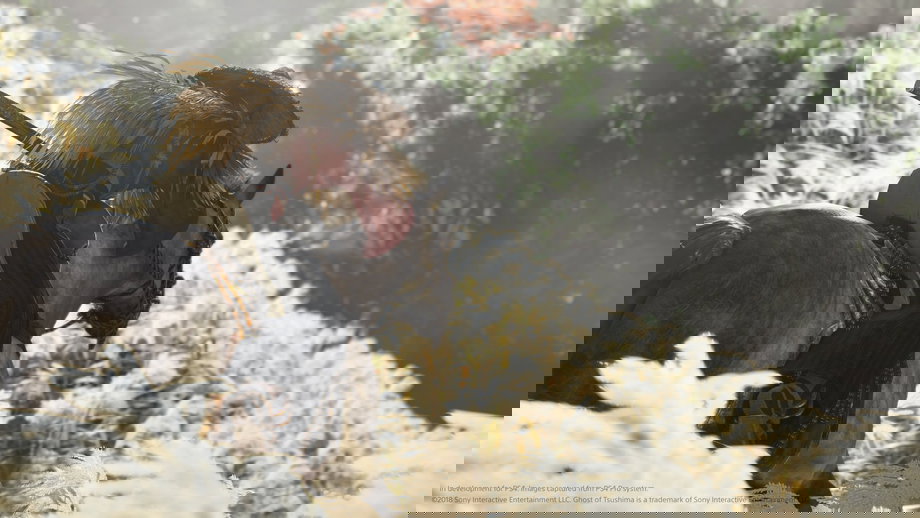 Ghost of Tsushima (PS4) gallery image 4