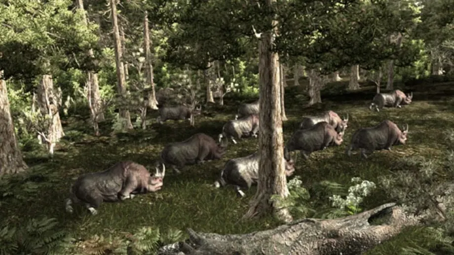 Gothic 3 (PC) gallery image 6