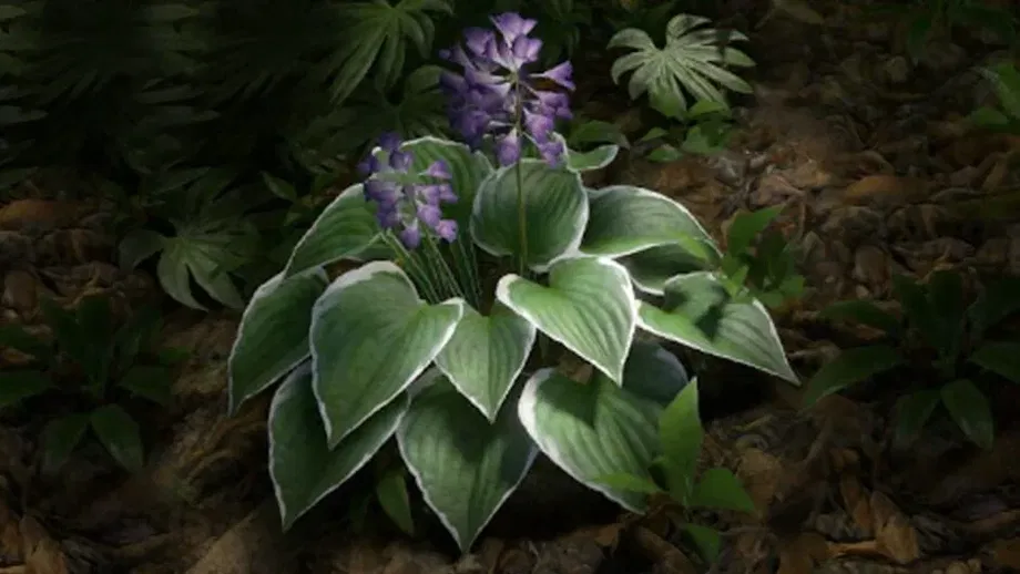 Green Hell VR (PC) gallery image 3