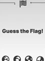 Guess the Flag! (PC) thumb 1
