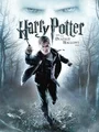 Harry Potter and the Deathly Hallows: Part 1 (PC) thumb 1