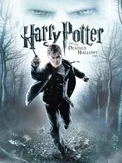 Harry Potter and the Deathly Hallows: Part 1 (PC)