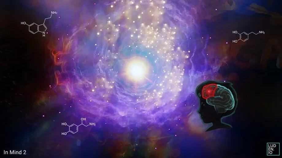 InMind 2 VR (PC) gallery image 2