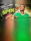 King of Spin VR (PC)