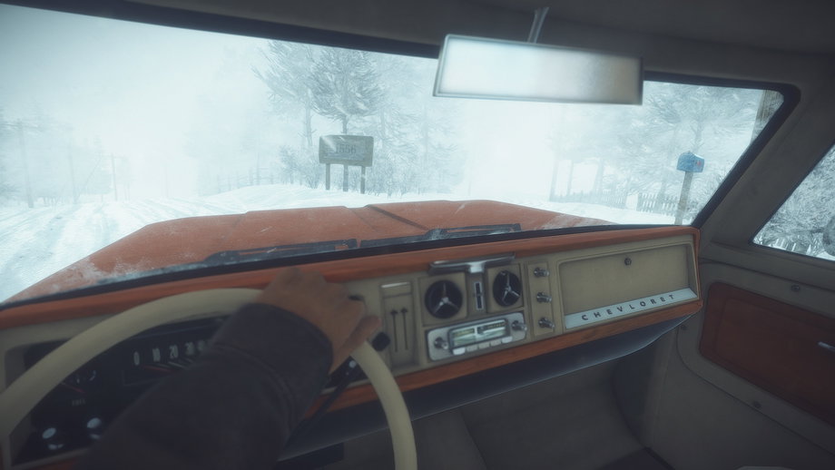 Kona (PC) gallery image 3