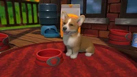 Little Friends: Puppy Island (PC) thumb 8