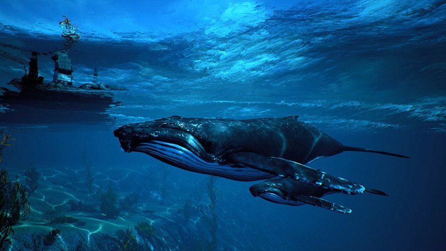 Maneater (PC) gallery image 3