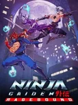 Ninja Gaiden: Ragebound (PS4)