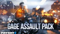 Payday 2: Gage Assault Pack (DLC) (PC) thumb 6