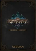 Pillars of Eternity II: Deadfire - Obsidian Edition (PC)