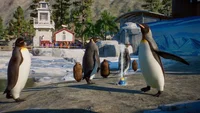 Planet Zoo: Aquatic Pack (DLC) (PC) thumb 13