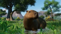 Planet Zoo: Wetlands Animal Pack (DLC) (PC) thumb 7