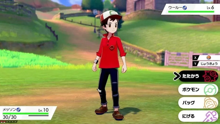 Pokémon Sword Expansion Pass (Switch) gallery image 6