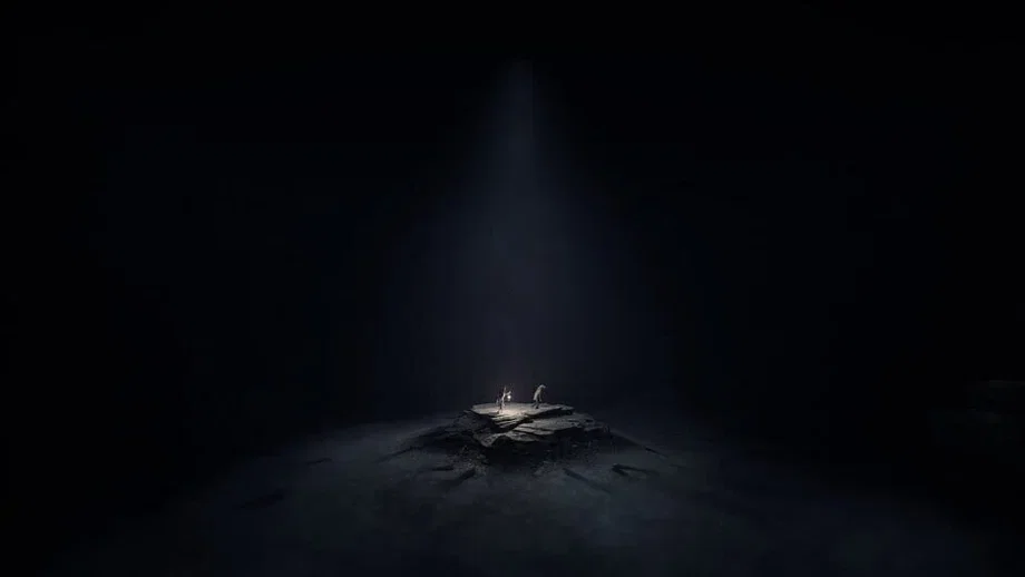 Reanimal (Switch 2) gallery image 4