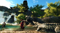 Risen 2: Dark Waters (PC) thumb 4