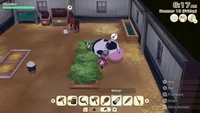 Story of Seasons: Grand Bazaar (PS5) thumb 6