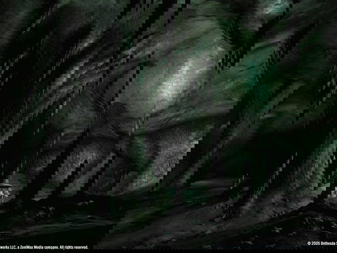 The Elder Scrolls IV: Oblivion (PC) gallery image 11