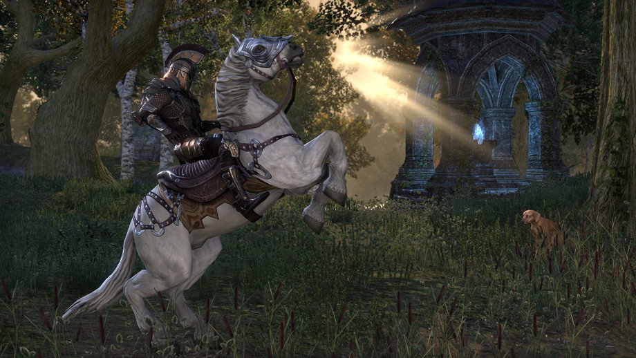 The Elder Scrolls Online (Xbox One) gallery image 5