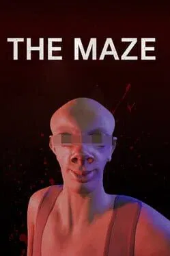 The Maze (PC)