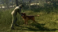 TheHunter: Call of the Wild - Bloodhound (DLC) (PC) thumb 9