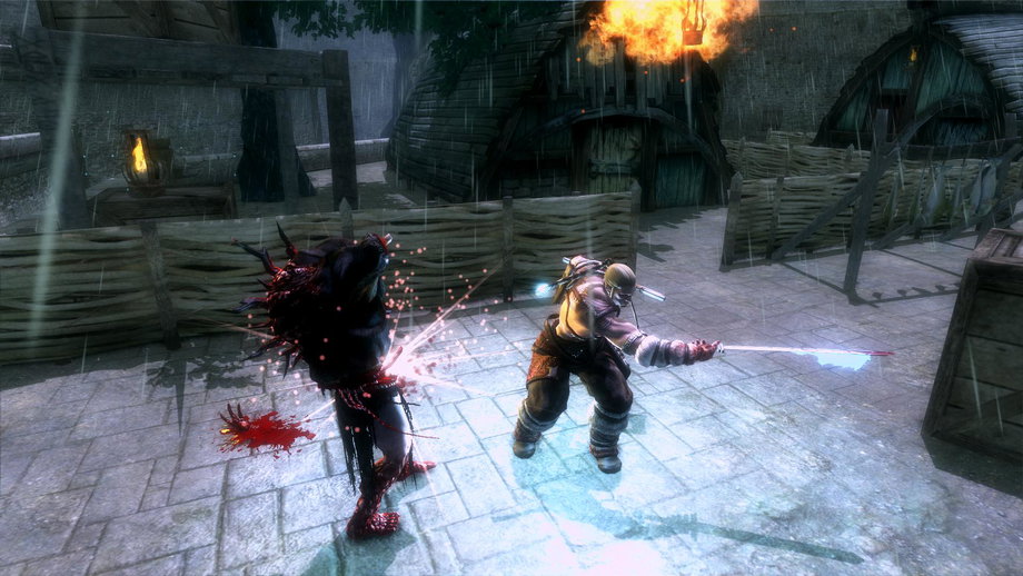 Viking: Battle for Asgard (PC) gallery image 8