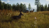 Way of the Hunter: Elite Edition (PC) thumb 6